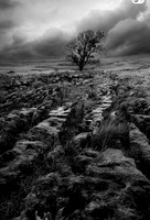 IMG_4002