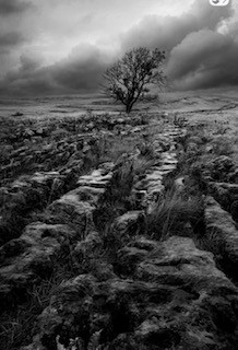 IMG_4002