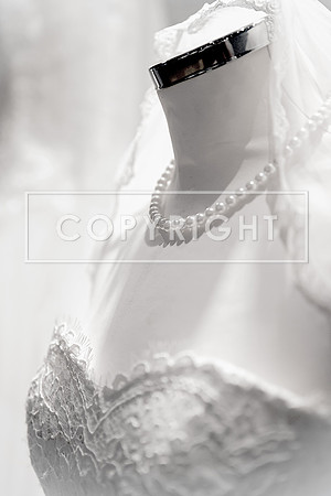 aDSC_6039_spe1