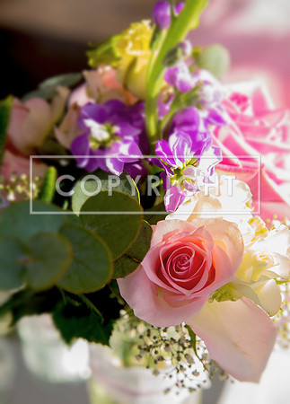 aDSC_6003_spe1