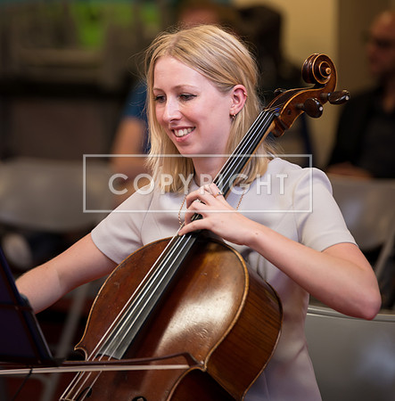aDSC_0650