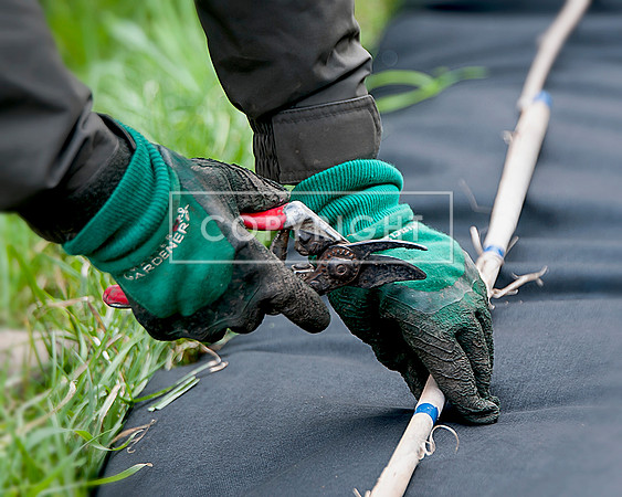 aDSC_6467_spe1