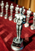 Thurrock International Film Festival 14