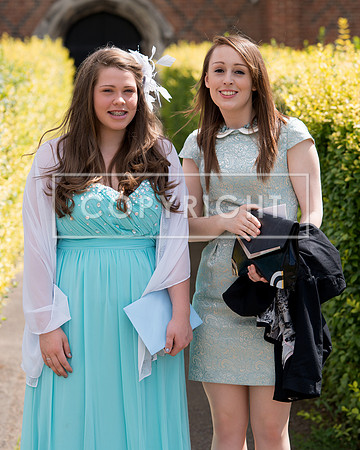 aDSC_6186
