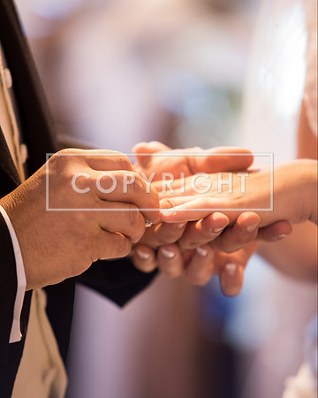 aDSC_6343