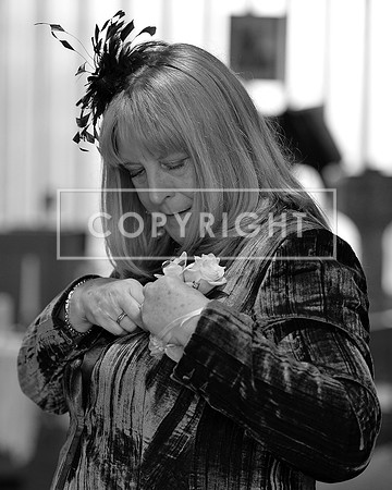 aDSC_3869