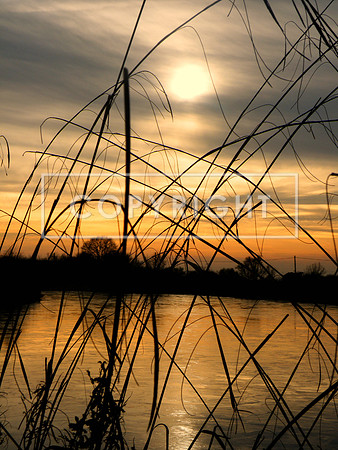 Sunset - Langdon Hills - 281209