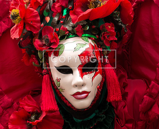aDSC_5840