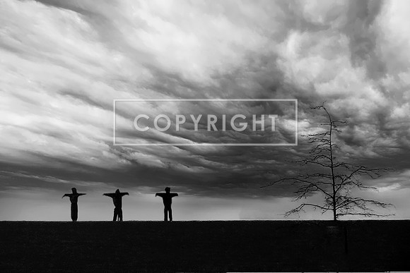 aDSC00115 LP1_spe1