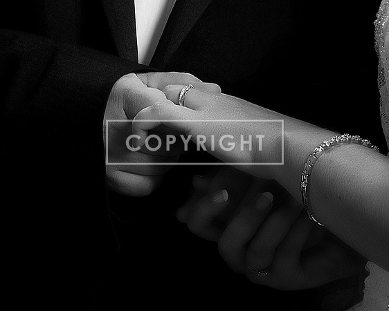 adDSC_6385_pe
